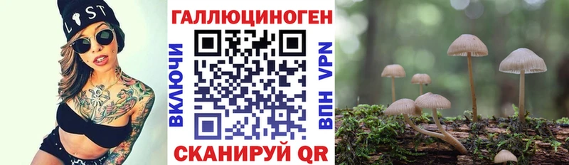 цены   Константиновск  Галлюциногенные грибы Cubensis 